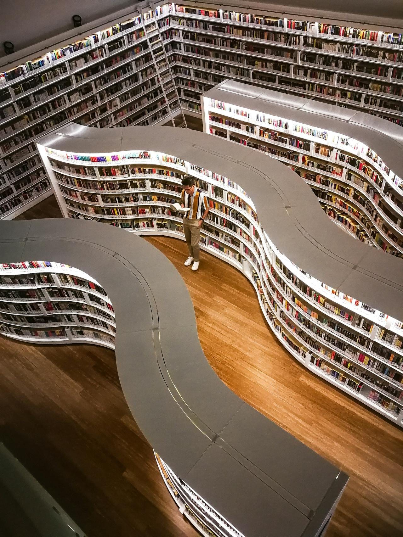Sweeping curved bookshelves of a modern library with a person browsing the upper tier