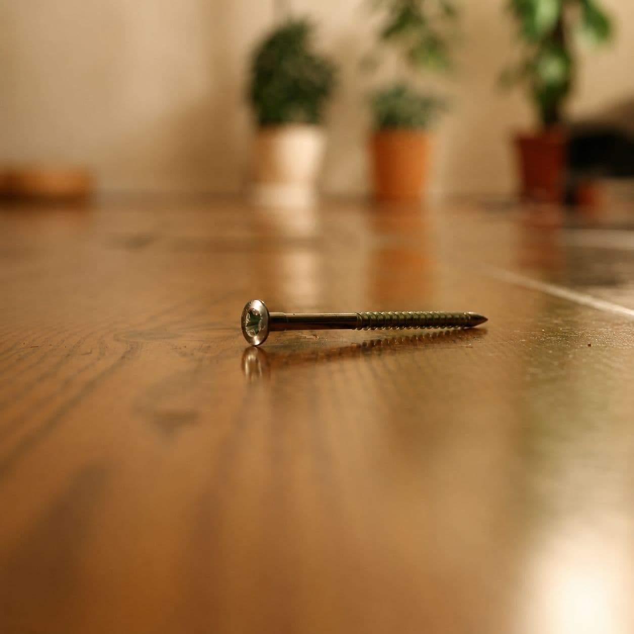 Wood floor surface prepared and ready for sanding with a single fastener in focus
