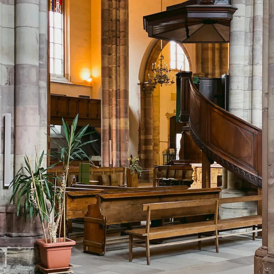 Heritage interior with church-style pew and decorative plant on a sealed wood floor